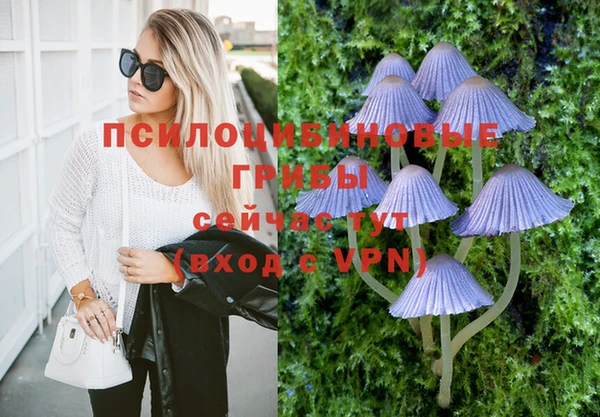 СК Костерёво