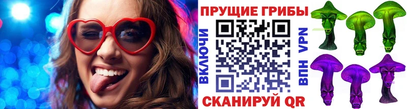 Купить где  Краснообск  Псилоцибиновые грибы MAGIC MUSHROOMS 